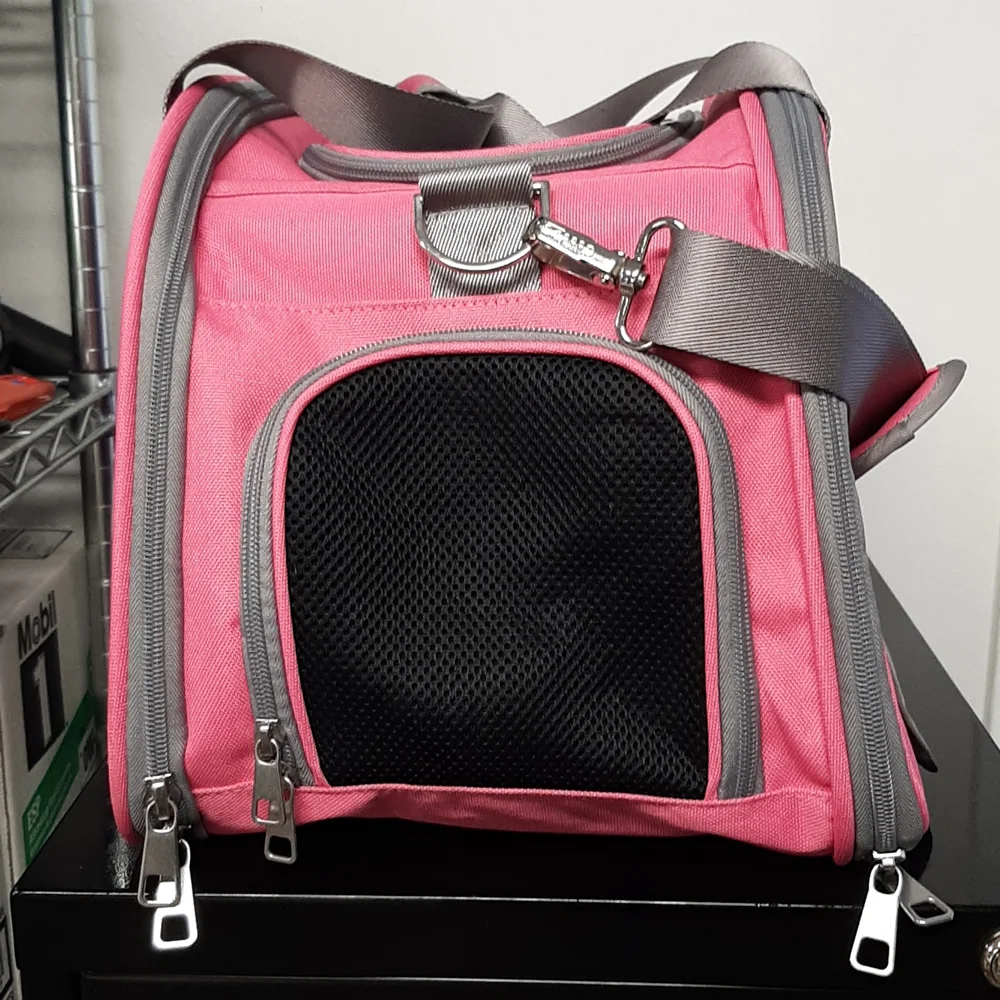 COLLAPSIBLE PET CARRIER